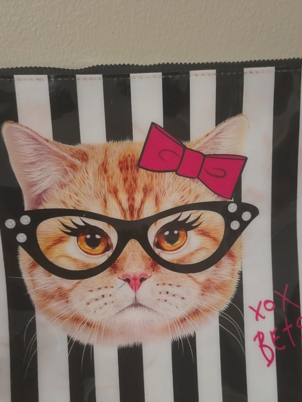 Betsey Johnson Black & White Striped Cat Pouch with Pink Bow